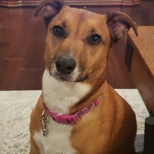 Meet your Posher, Kevin